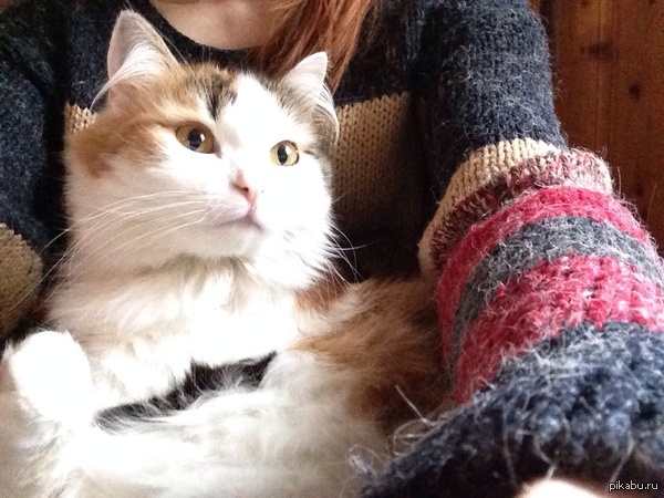 ����� ������������ � ���� �����