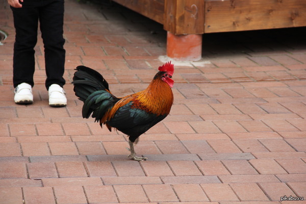  !      !      50  ^_^