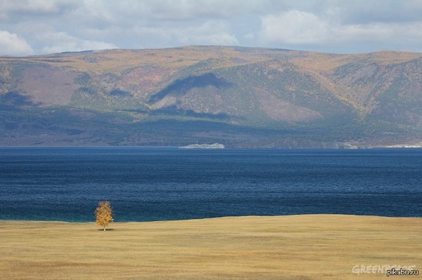  ,    ,    (25 . )    (1700 ).