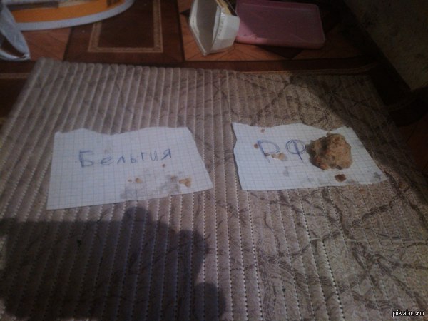 Животным виднее...