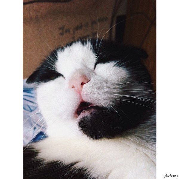 �����-���������