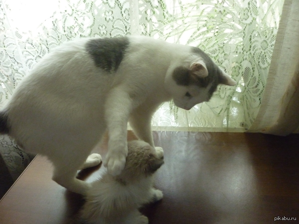 "���������, ����� ������ ����� � ����� ����".... ��������� ��� ���� 2 ���� �����,��������� � ������ � ������� ������ ����)