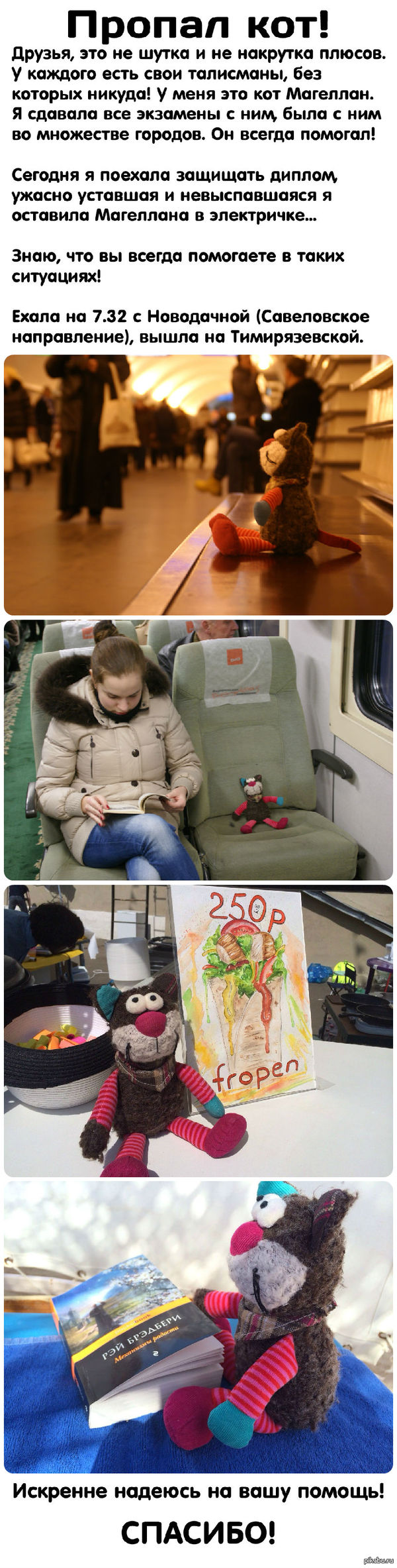 Пропал кот Магеллан!