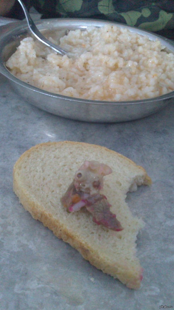 ������ � �����.