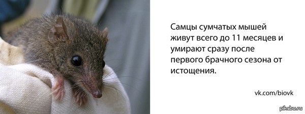 doesn't matter had sex