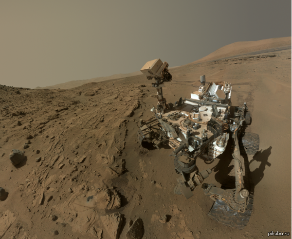 Curiosity selfie