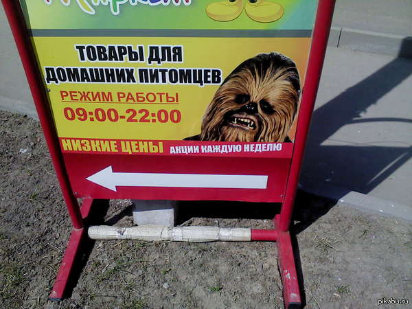 ������????