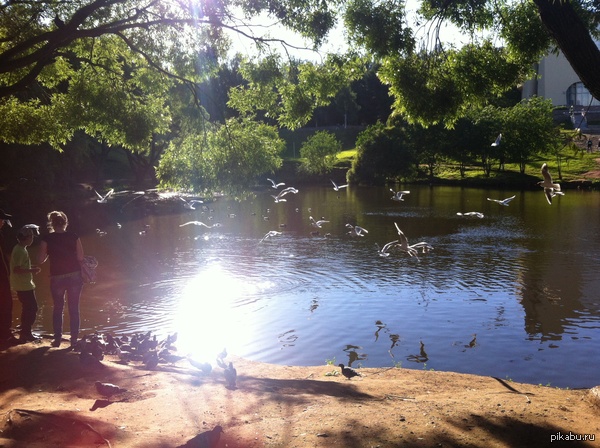 Без фильтра