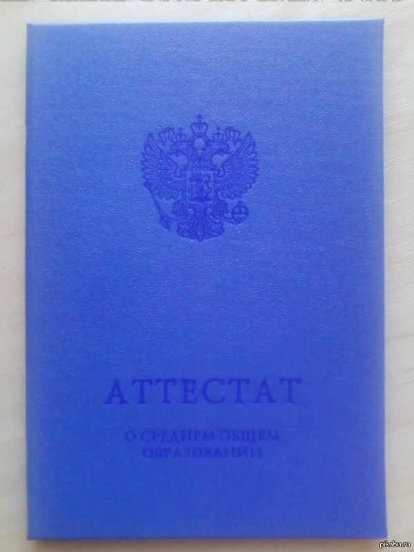 Выпустился | Пикабу