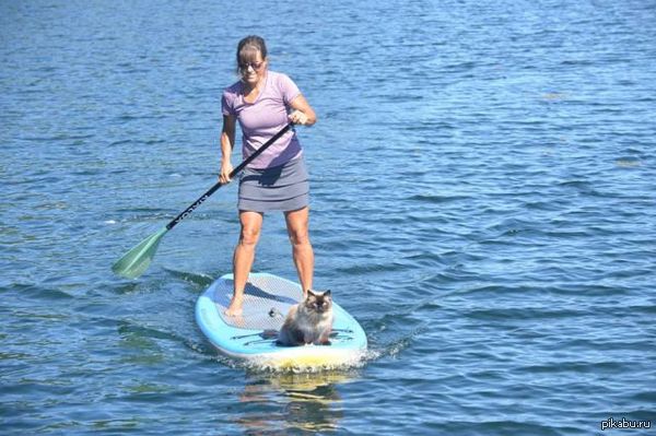 ���-�����