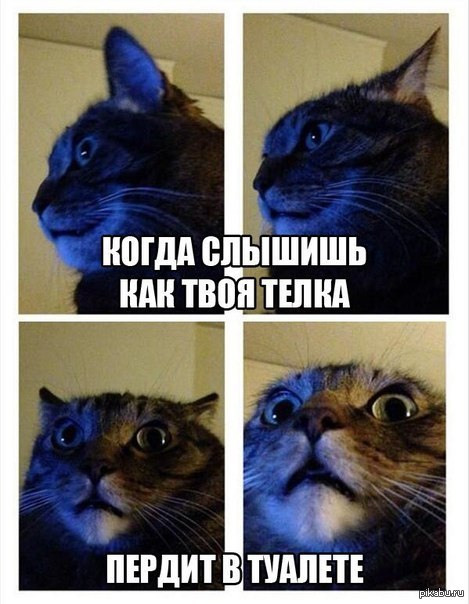 �� ����...