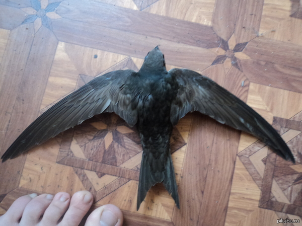 ����� ������!