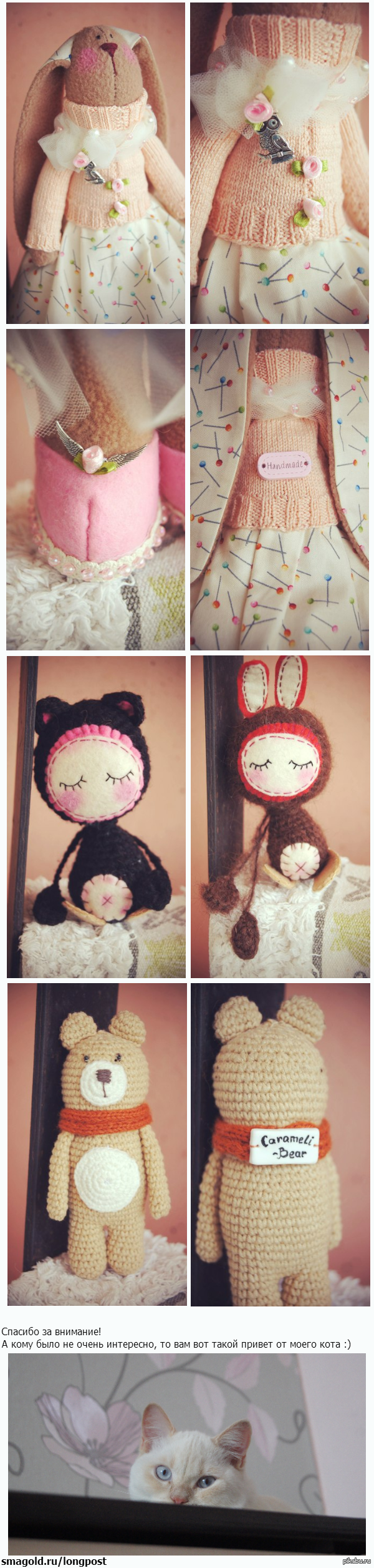 ��� ������� ����� ����������