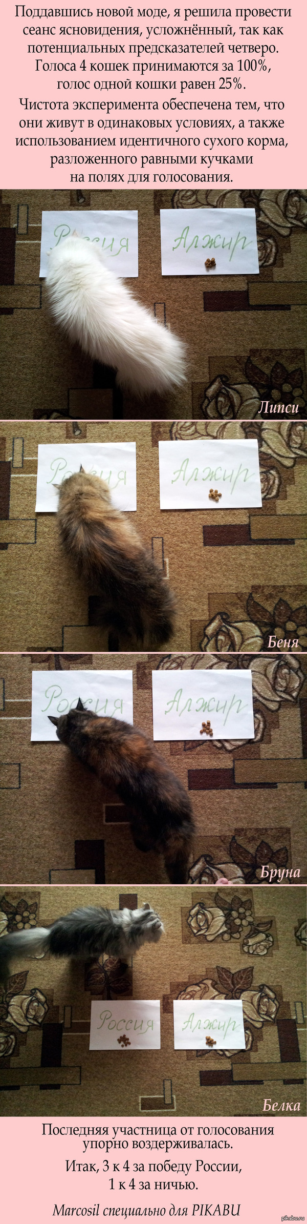 Самое свежее предсказание!