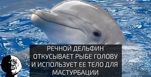 ����� �� ������ �������(�����1)