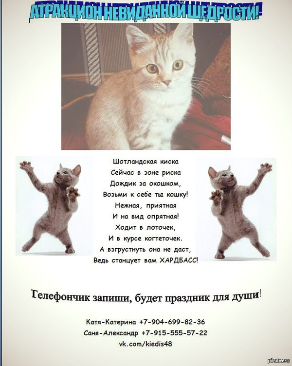 ����� ������, ����� ����, ������ �����