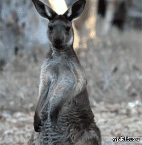 ����� ������� ������� �����.