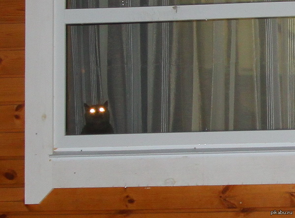 ������ � �������� �������