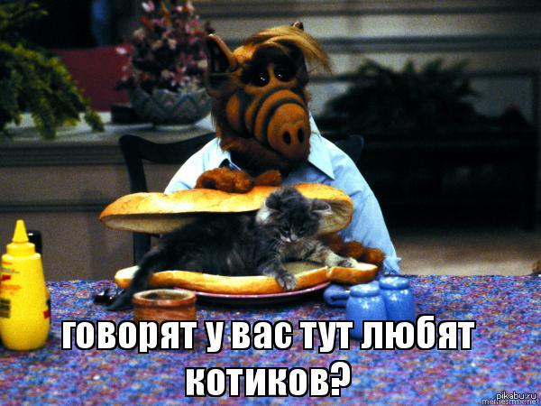 ��� ��������� ��� ����� �������