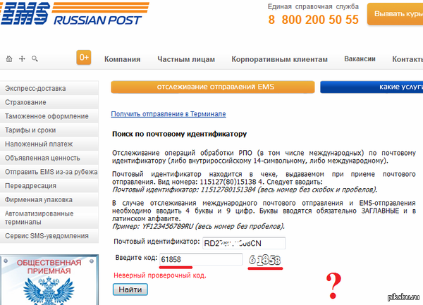 К такому жизнь меня не готовила