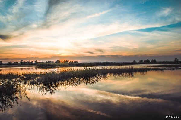 � ����� �������) ���������, ����� ����������