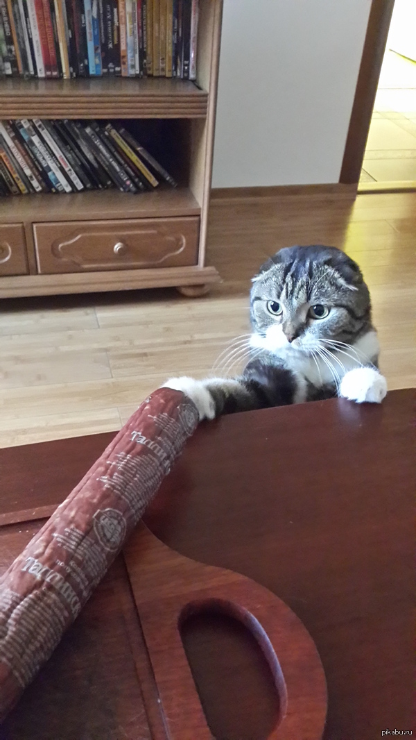 Марсик и колбаса