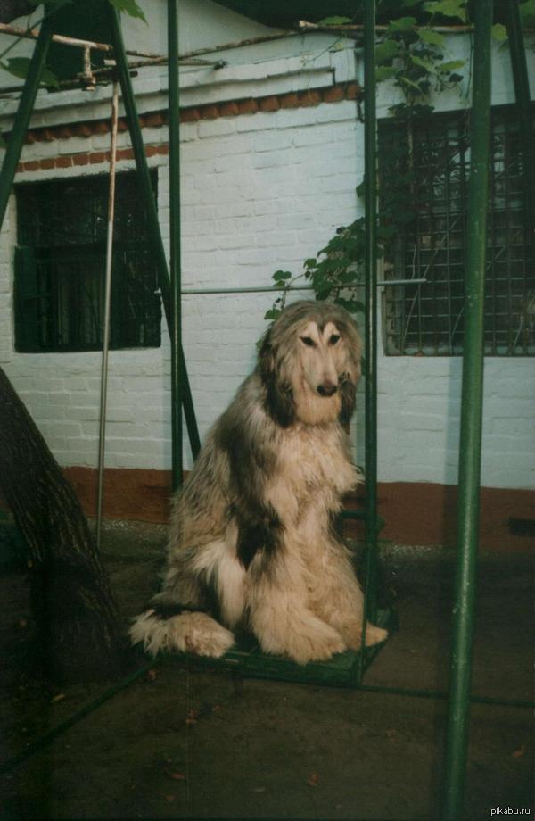 Лето – пора безудержного веселья.