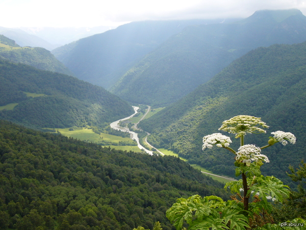 Большой Зеленчук