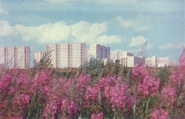 ��� ���������� �������� ���������� � ��� ����� ����� �������?