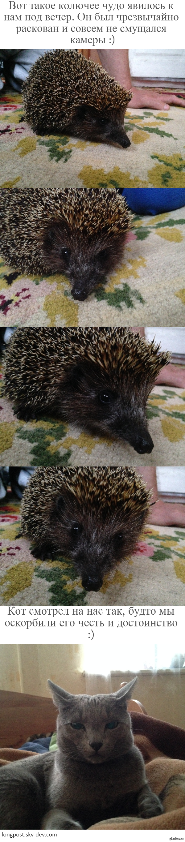 ������� ����)