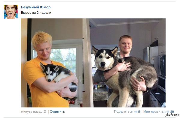 � ������� �� ���� ������, �� ����� ������ �� ����!