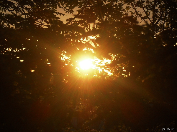 �������-�� ��������)))