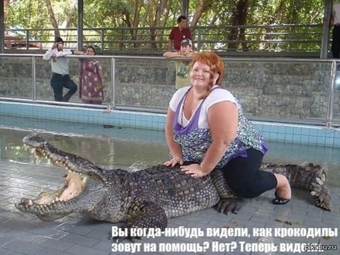 ������������.