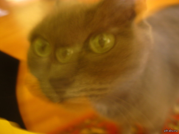 � ������ ������ ���������������� ���� �����..