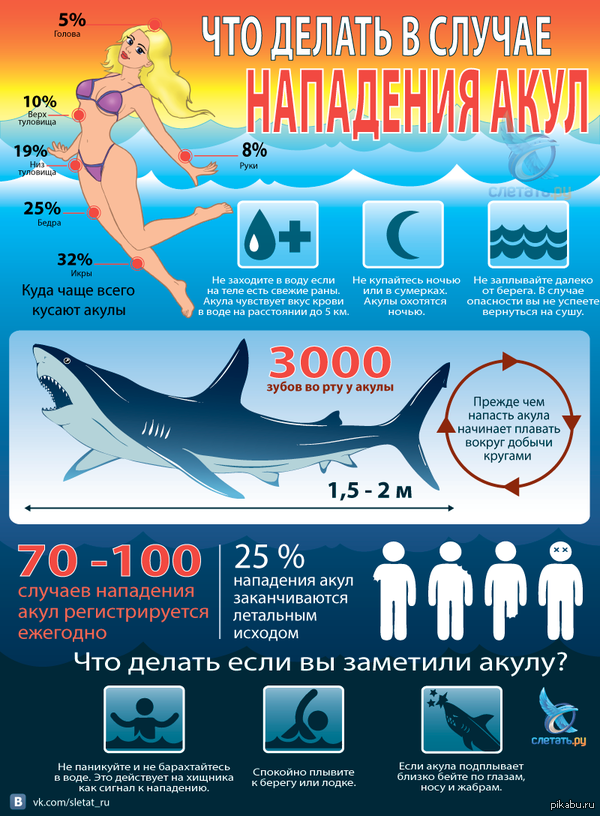 ��� ������ � ������ ��������� �����