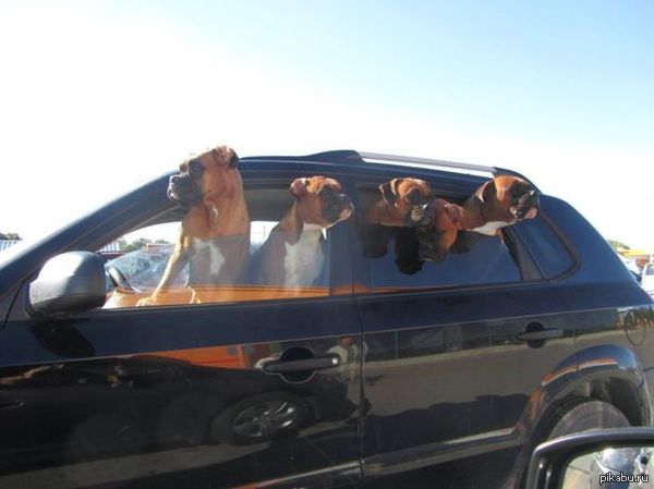 ��� ���� ������!)))