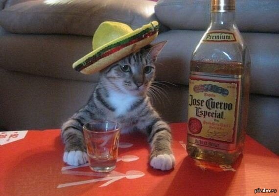 ������� �� ����.