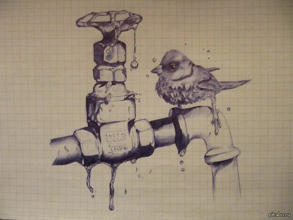 ���������.