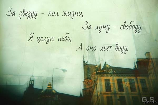 ����� 3000