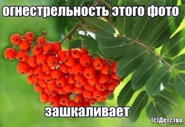 Как жаль, что уже невозможно вернуть детство. - Моё, Детство, Счастливое детство, Дети, 90-е, Детство 90-х