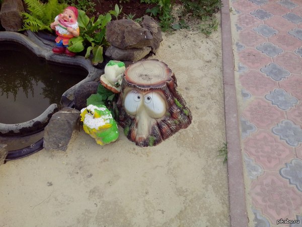 Родственникам сказали, что это белка в дупле...