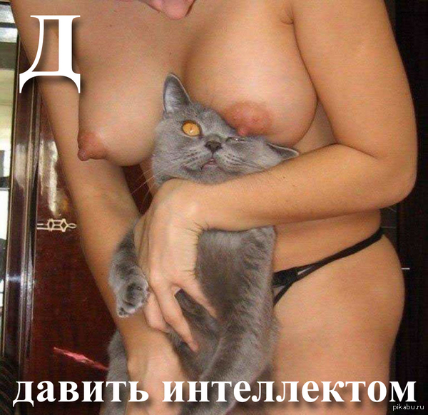 Last chance weapon - cat, Boobs, NSFW, Смысл жизни