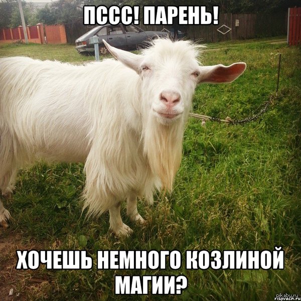 Псс!Парень! Хочешь немного козлиной магии?