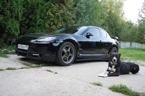 ��� ��������� ������ �������)