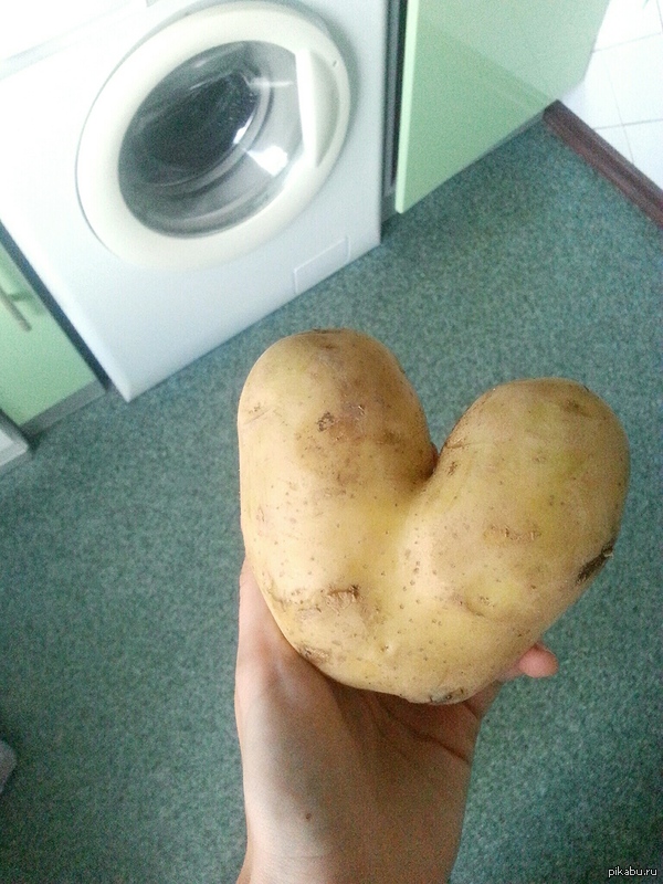 Сердце батьки