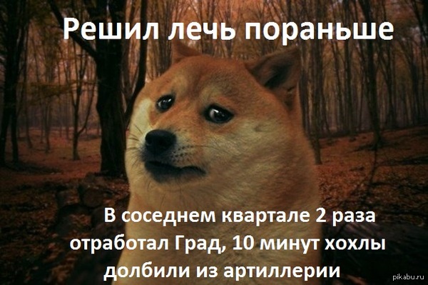          <a href="http://pikabu.ru/story/na_vyikhodnyikh_2448646">http://pikabu.ru/story/_2448646</a>