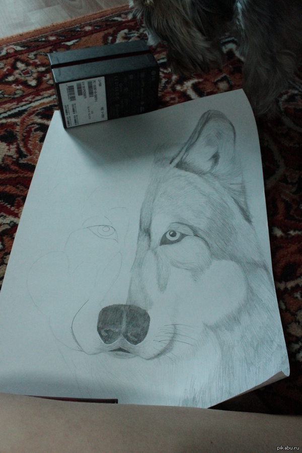 ��� ���������� )))))))