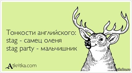 � ���� �������������...