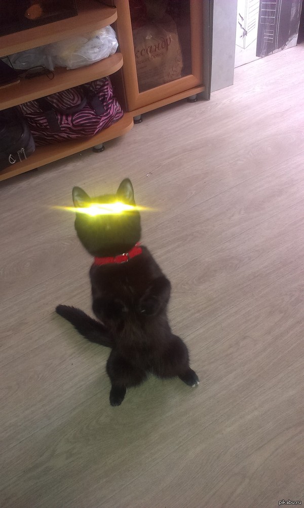     ,    