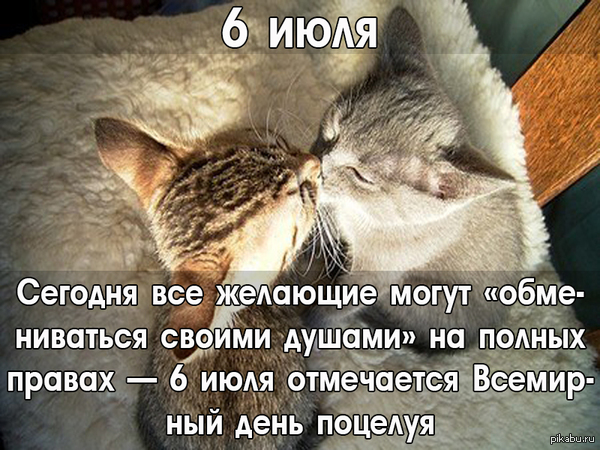��������� ���� �������